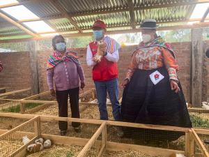 Agroideas entregó bienes a cooperativa de productoras de cuyes en Junín por S/ 401 mil