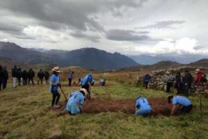 Agroideas impulsa cadenas productivas en Junín por más de S/122.3 millones