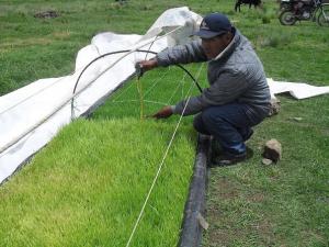 AgroRural apoyó a 248 mil  familias productoras altoandinas el últimos 11 meses