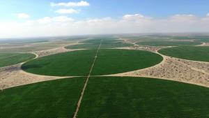 Agrovision, Beta y Danper exigen al Estado decisiones urgentes para preservación de inversión y producción en el Proyecto Olmos