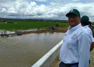 ALGUNOS EFECTOS DEL FENÓMENO DE EL NIÑO SON BENEFICIOSOS PARA LA GANADERÍA