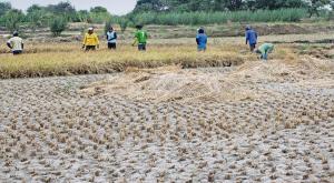 Almacenamiento de agua en principales reservorios del país sigue cayendo