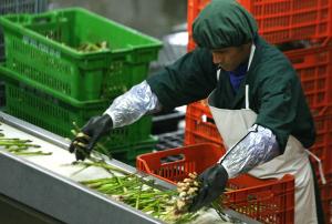 América representó el 59% de las agroexportaciones peruanas en el primer bimestre del año