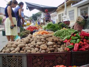 ANALIZAN ALCANCES DE LA LEY DE SEGURIDAD ALIMENTARIA 