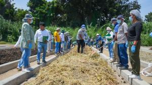 Aplicarán bioinsumos y tecnología orgánica en 120 hectáreas de cultivos
