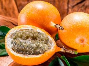 Argentina abre sus puertas a las exportaciones de  granadilla peruana