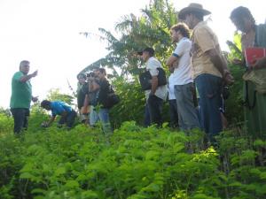 ARGENTINA: SE PRESENTARÁN CASOS DE ÈXITO HACIA LA SUSTENTABILIDAD EN AGRICULTURA