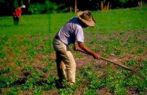 ASOCIATIVIDAD, FINANCIAMIENTO Y TITULACIÓN DE TIERRAS: PRIORIDADES DEL CAMPESINADO