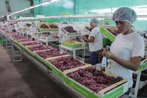 BCR: Empleo formal total (público y privado) en Perú creció 5.5% entre enero y abril de 2025, respecto a similar periodo del año anterior