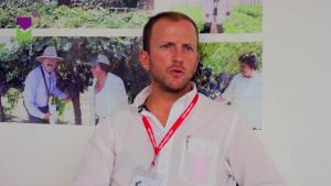 Benjamín Cillóniz: “Producción de uva de mesa de Piura crecerá significativamente en la próxima campaña”