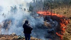 Bono de S/ 1.000 para productores afectados por incendios forestales