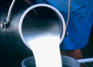 BRASIL IMPIDE EL INGRESO DE LECHE EN POLVO ARGENTINA