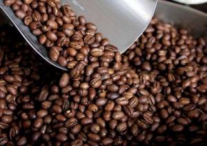 CAFÉ PODRÍA ALCANZAR LOS 6 MILLONES DE QUINTALES EN EL 2015