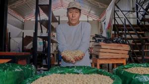 Cafetaleros del VRAEM participarán en la Taza de Excelencia 2025