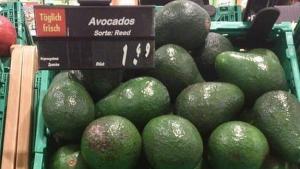 Caída estrepitosa del precio de la palta en el mercado europeo