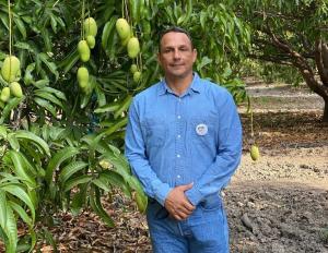 Campaña de mangos de México superará los 61 millones de cajas