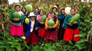 Certificación de agricultura familiar dará gran impulso a los pequeños productores del campo