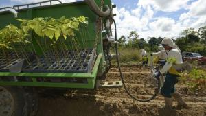 CGTP propone que la agroindustria y agroexportación queden excluidas del ámbito de aplicación de la Ley del Trabajo Agrario