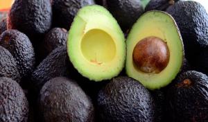 Chile abre mercado a pequeños productores de palta Hass de sierra central