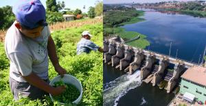 Cincuenta mil hectáreas de agricultura para exportación en riesgo por déficit hídrico en Piura