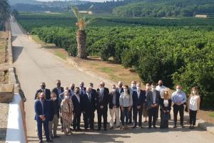 Cítricos Valencianos aglutina “la unidad del sector” por segundo año consecutivo en el Primer Corte de la Naranja Valenciana