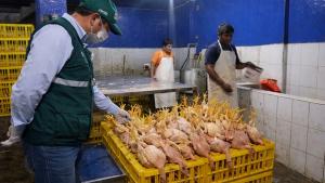 Clausuran cinco centros clandestinos de faenamiento de aves en Lambayeque