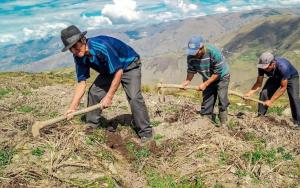 Cofide subastó S/31.6 millones en garantías para el FAE-Agro y FAE-Turismo