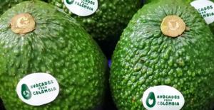 Colombia presenta su marca país para la palta