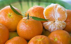 COLORACIÓN DE LA CÁSCARA: PRINCIPAL RETO DE LA MANDARINA EN LA COSTA NORTE PERUANA