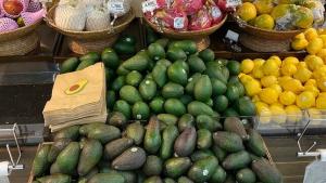 Compras de aguacates embolsados han crecido en Estados Unidos