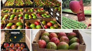 "Con inteligencia comercial y alianzas, el mango y el limón peruanos pueden abrirse camino en el mercado global"