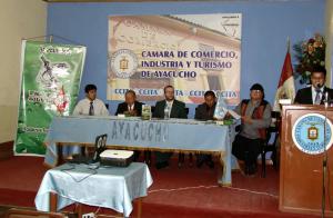 CONFLICTOS SOCIALES AFECTARÍAN COMERCIO INTERREGIONAL DE AYACUCHO EN 60%