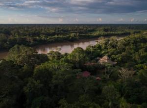 Congreso aprobó sin sustento técnico propuesta que debilitaría la Ley Forestal y de Fauna Silvestre