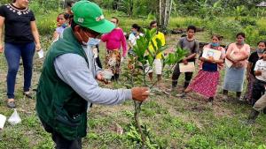 Congreso aprueba Ley que regula el servicio de extensión agropecuaria