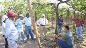 CONOCIENDO AL CHANCHITO BLANCO