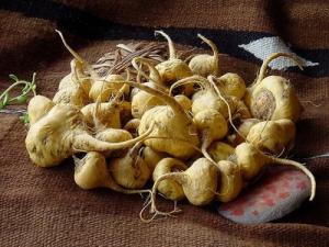 CONTRABANDO DE DERIVADOS DE MACA PONE EN RIESGO A EXPORTADORES