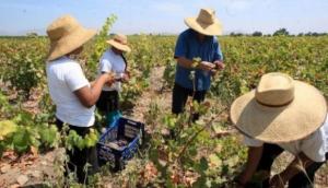 Conveagro: Ley de Promoción Agraria debe incorporar pequeña agricultura y fomentar asociatividad en el campo