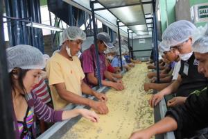 COOPERATIVA CAFETALERA ORO VERDE RECIBE S/. 300 MIL