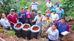 Cooperativas agrarias pagarán mayores tributos que empresas agroexportadoras, según Ley 32434