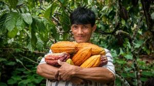 Crean grupo de trabajo para el desarrollo productivo y comercialización del café, cacao, palma aceitera y otros en la Unión Europea