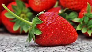 Creció la exportación peruana de fresas en 2025