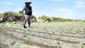 Crisis hídrica en Piura amenaza con pérdidas de hasta S/ 1.300 millones