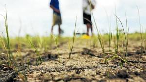 Cultivida recomienda estar en alerta ante posible intensificación del Niño Costero