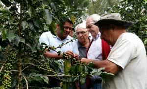 CUSCO EXPORTÓ PRODUCTOS AGROINUDSTRIALES POR US$ 4.6 MILLONES EN LOS PRIMEROS CUATRO MESES DEL 2016