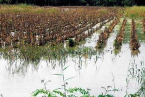 DEBEMOS PREVENIR EFECTOS DE RIESGOS CLIMÁTICOS