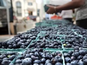 Desafíos de la industria del arándano peruano