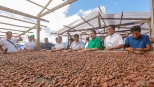 Devida fortalecerá la cadena de valor del cacao en Huánuco