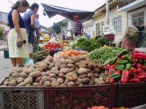 DÍA MUNDIAL DE LA ALIMENTACIÓN 2014: “ALIMENTAR AL MUNDO, CUIDAR EL PLANETA”