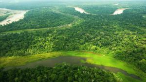 Domesticación tecnológica del territorio: convertir geografía en riqueza