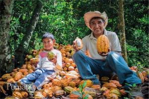 Echarati de La Convención (Cusco), tiene el mejor cacao y chocolate peruano